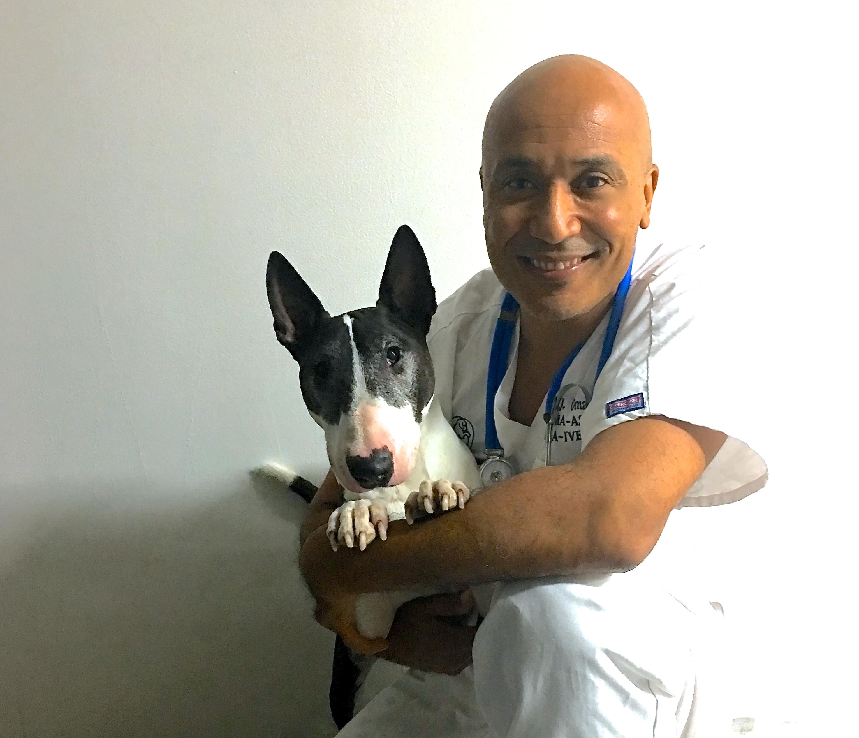  Cabinet Vétérinaire International,Geneva Veterinarian, veterinarian Geneva